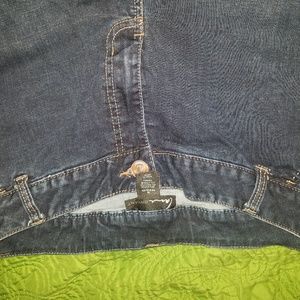 Lane Bryant  jeans